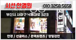 시선안경