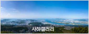 사하갤러리