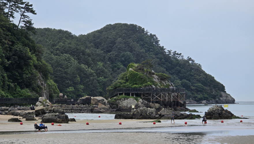 nakjo-JMD-000-20250609_101503.jpg