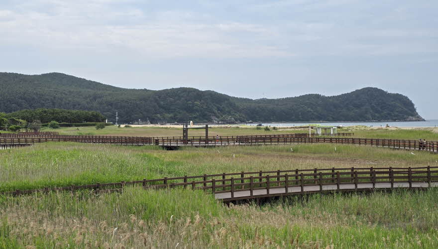 gouni-eco-gil-010-20250609_095516.jpg