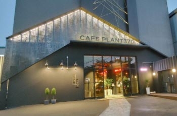 카페 플렌트370