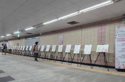 사하구, 부산(전국) 성인문해시화전 13점 수상. 총 13점의 수상작 배출 성과